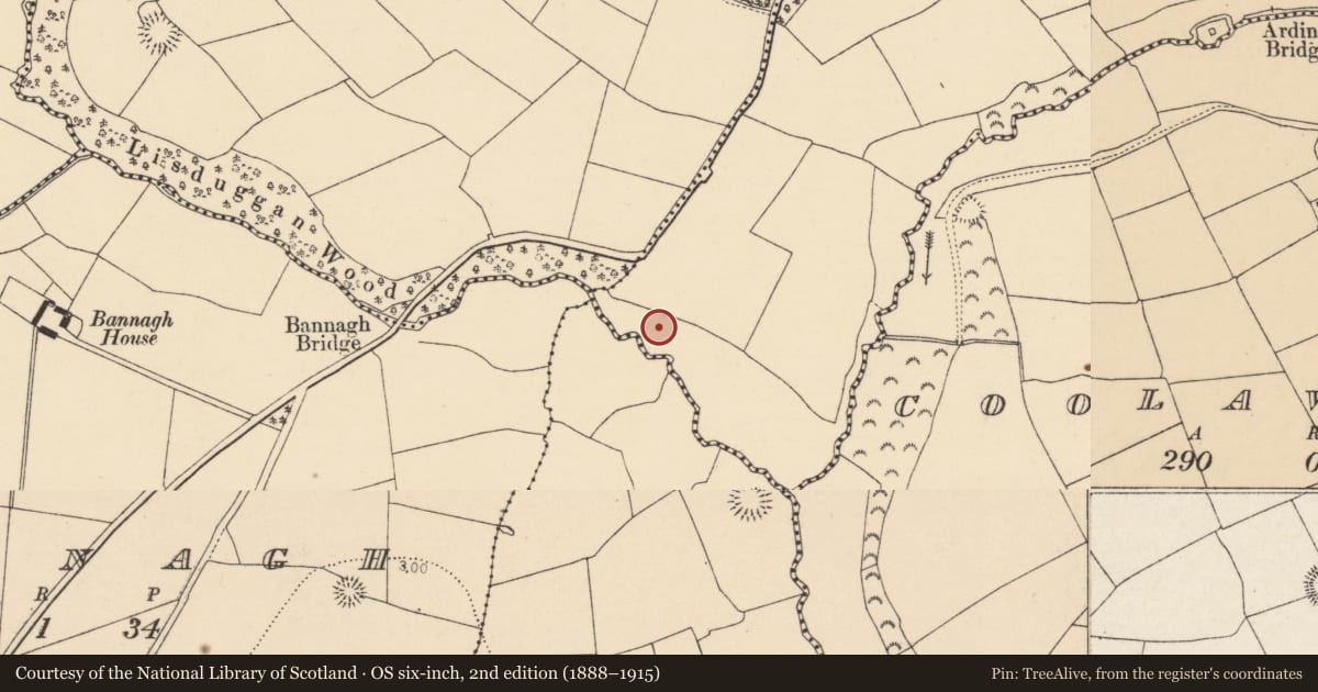 Ordnance Survey six-inch map, 2nd edition (1888–1915) covering the location of Fulacht fia, Castlemagner, County Cork, with a pin at the register's coordinates