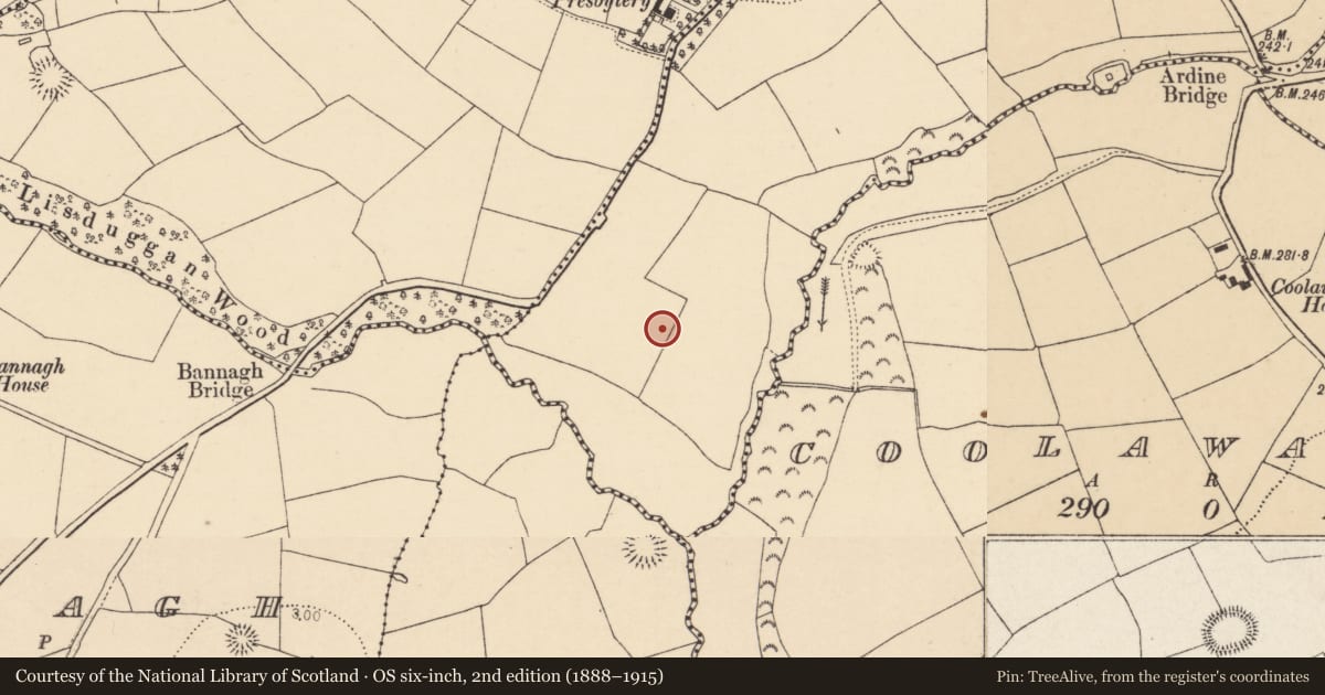 Ordnance Survey six-inch map, 2nd edition (1888–1915) covering the location of Enclosure, Castlemagner, County Cork, with a pin at the register's coordinates
