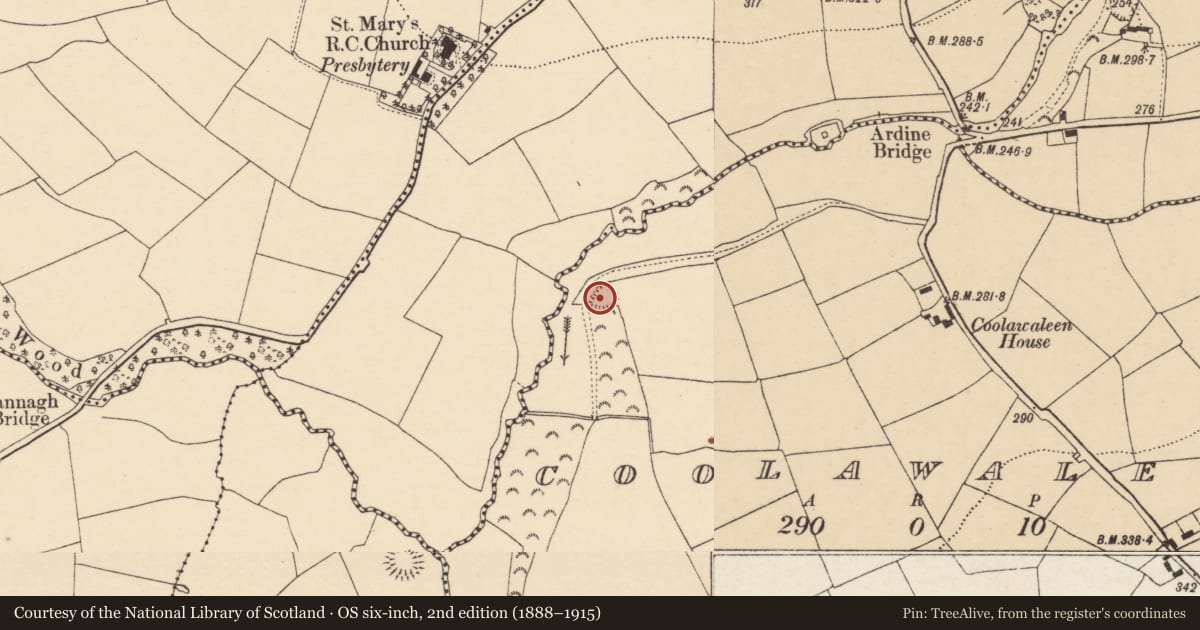 Ordnance Survey six-inch map, 2nd edition (1888–1915) covering the location of Ringfort - rath, Coolawaleen, County Cork, with a pin at the register's coordinates