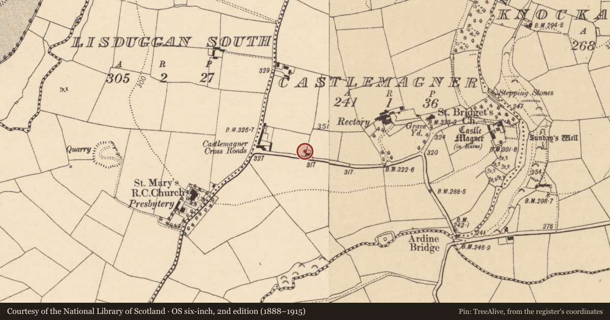 Ordnance Survey six-inch map, 2nd edition (1888–1915) covering the location of House - vernacular house, Castlemagner, County Cork, with a pin at the register's coordinates