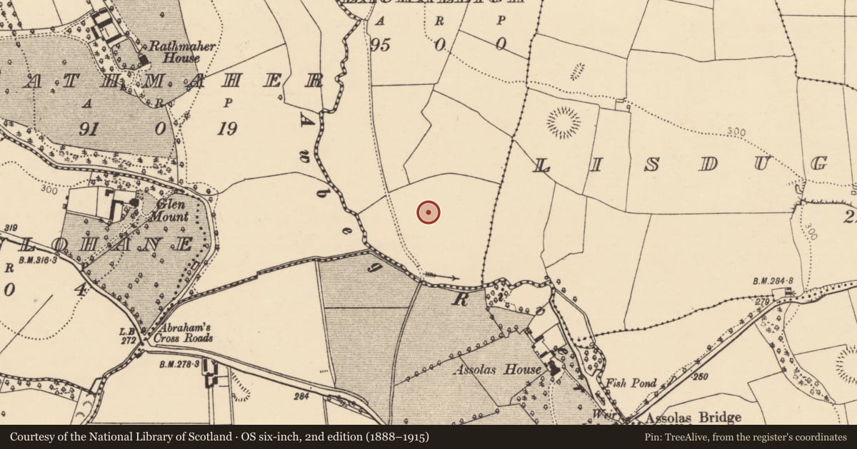 Ordnance Survey six-inch map, 2nd edition (1888–1915) covering the location of Ringfort - rath, Lackaleigh, County Cork, with a pin at the register's coordinates