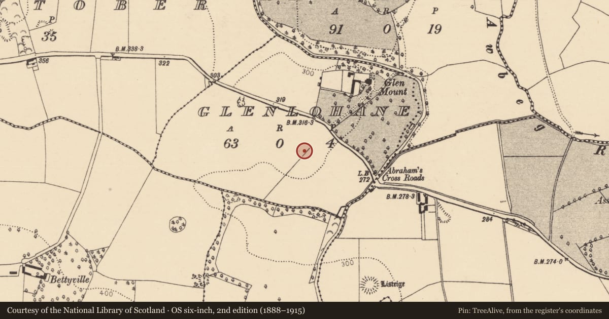 Ordnance Survey six-inch map, 2nd edition (1888–1915) covering the location of Enclosure, Glenlohane, County Cork, with a pin at the register's coordinates