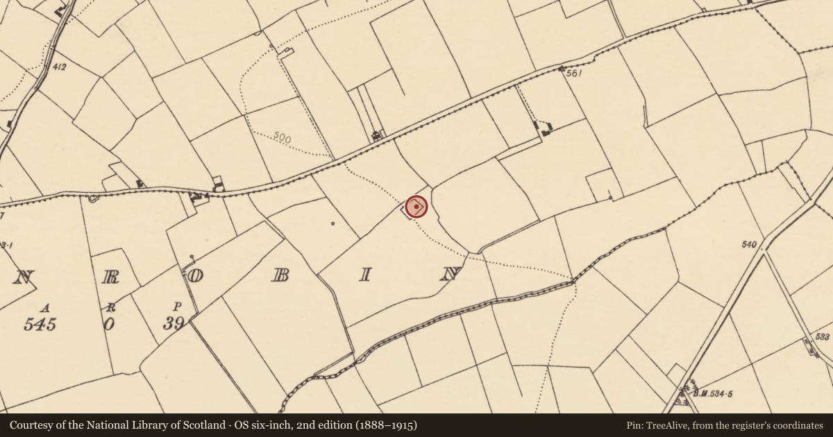 Ordnance Survey six-inch map, 2nd edition (1888–1915) covering the location of Moated site, Clonrobin, County Cork, with a pin at the register's coordinates