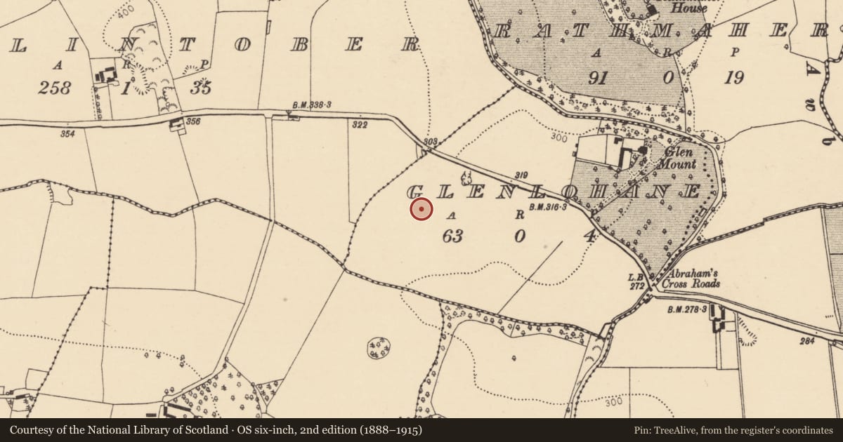 Ordnance Survey six-inch map, 2nd edition (1888–1915) covering the location of Standing stone, Glenlohane, County Cork, with a pin at the register's coordinates