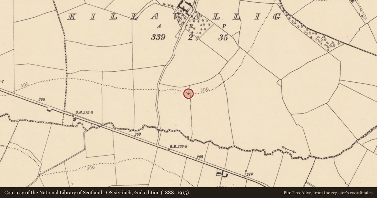 Ordnance Survey six-inch map, 2nd edition (1888–1915) covering the location of Ritual site - holy well, Killavallig, County Cork, with a pin at the register's coordinates