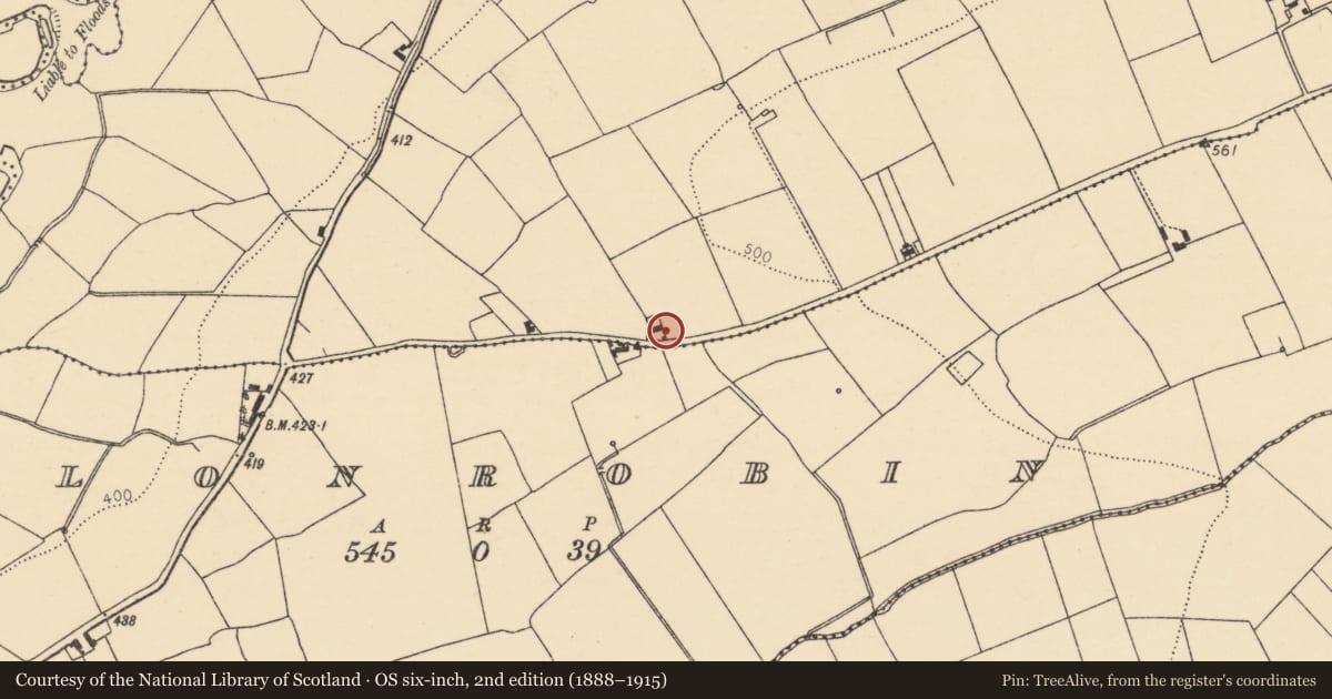 Ordnance Survey six-inch map, 2nd edition (1888–1915) covering the location of House - vernacular house, Drominagore, County Cork, with a pin at the register's coordinates