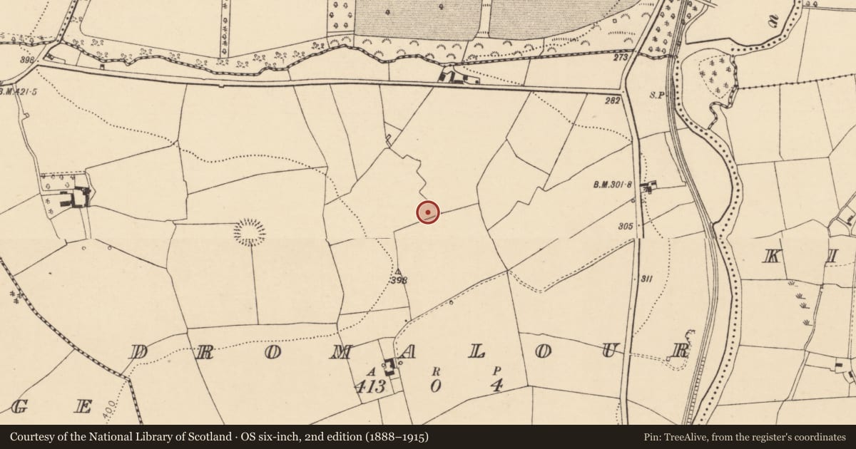 Ordnance Survey six-inch map, 2nd edition (1888–1915) covering the location of Fulacht fia, Dromalour, County Cork, with a pin at the register's coordinates