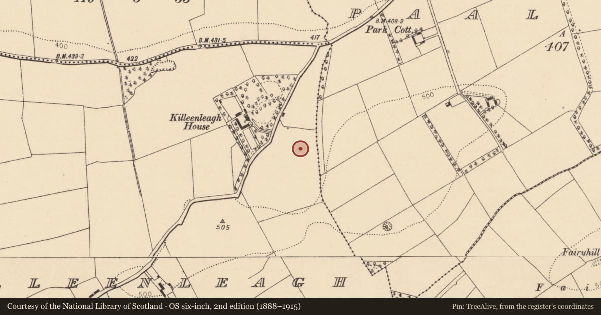 Ordnance Survey six-inch map, 2nd edition (1888–1915) covering the location of Fulacht fia, Killeenleagh, County Cork, with a pin at the register's coordinates