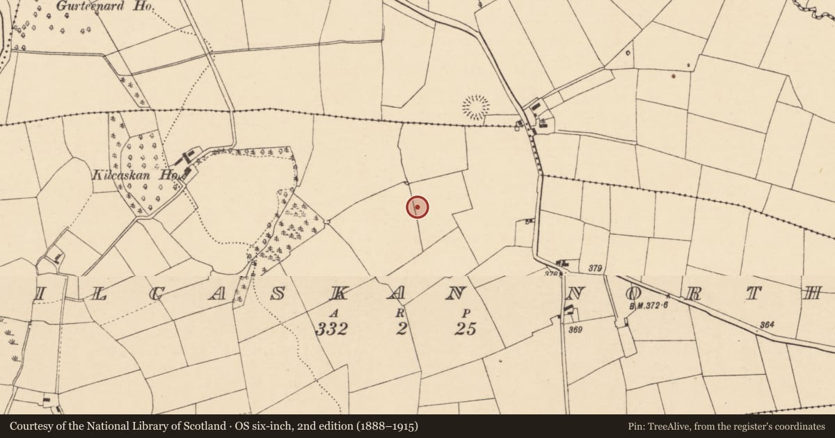 Ordnance Survey six-inch map, 2nd edition (1888–1915) covering the location of Fulacht fia, Kilcaskan North, County Cork, with a pin at the register's coordinates