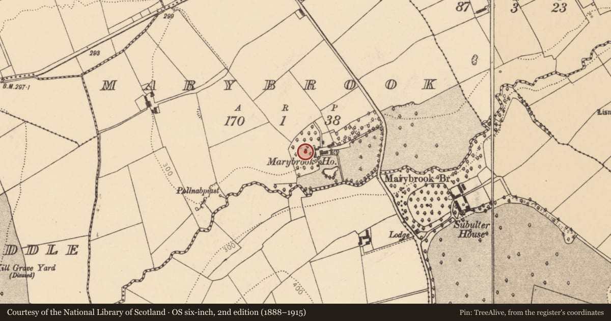 Ordnance Survey six-inch map, 2nd edition (1888–1915) covering the location of Ringfort - rath, Marybrook, County Cork, with a pin at the register's coordinates