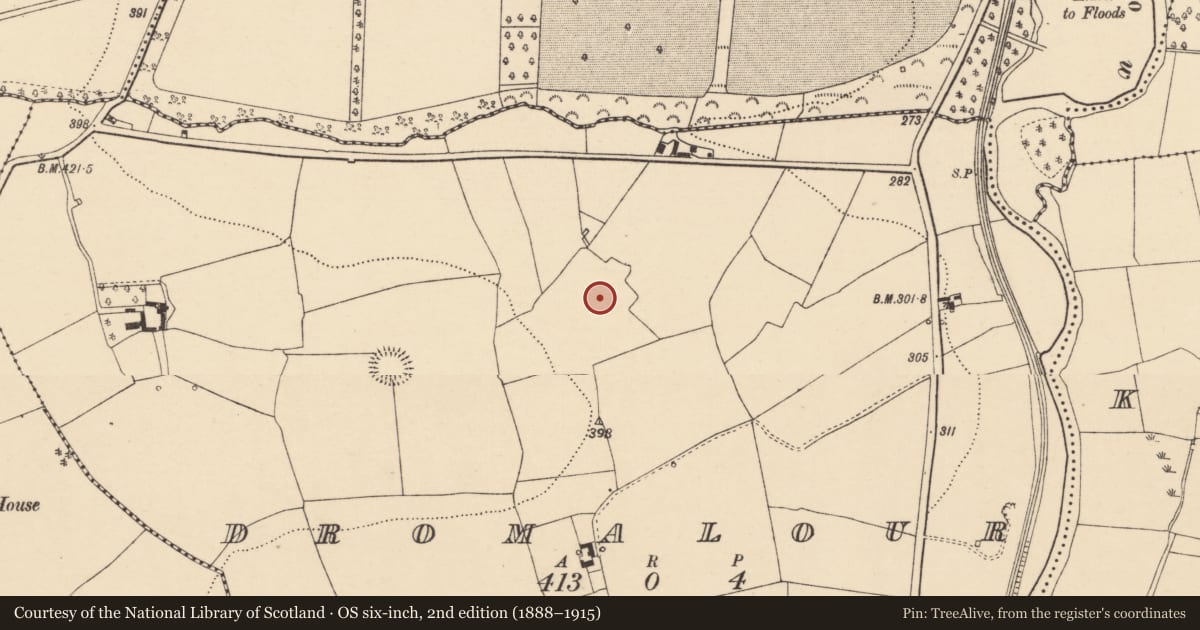 Ordnance Survey six-inch map, 2nd edition (1888–1915) covering the location of Ritual site - holy well, Dromalour, County Cork, with a pin at the register's coordinates
