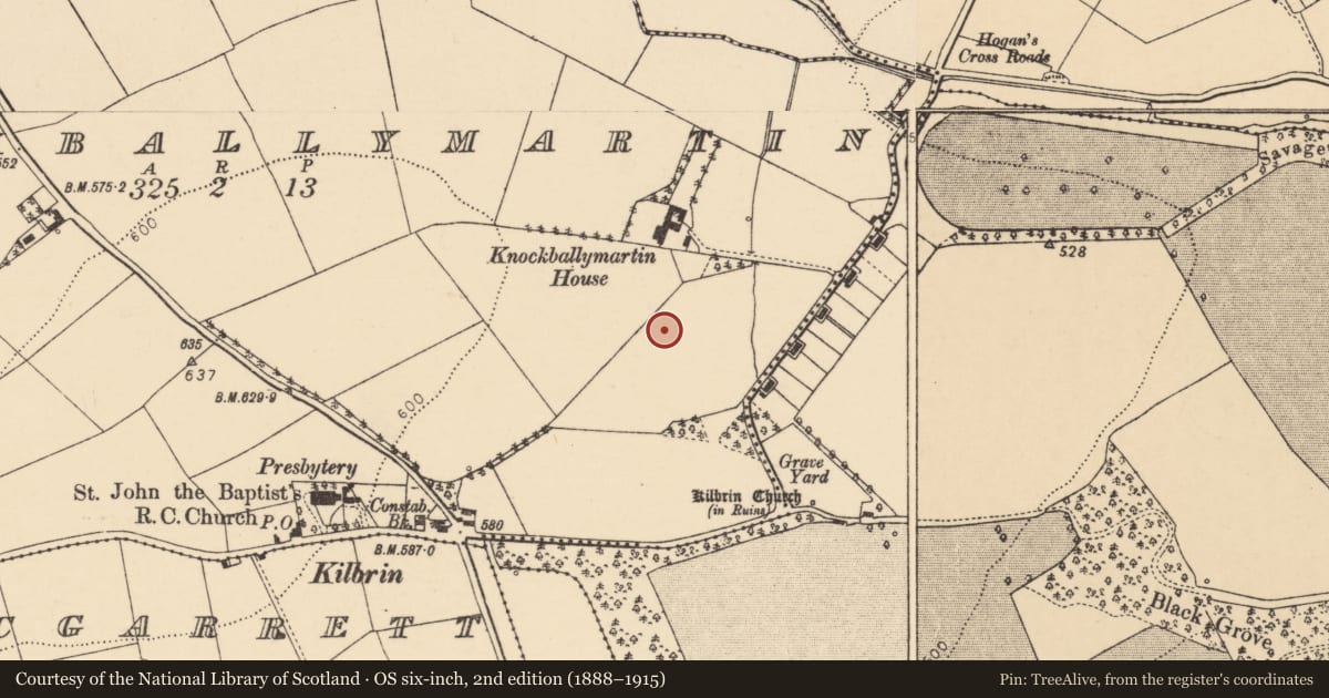 Ordnance Survey six-inch map, 2nd edition (1888–1915) covering the location of Fulacht fia, Knockballymartin, County Cork, with a pin at the register's coordinates