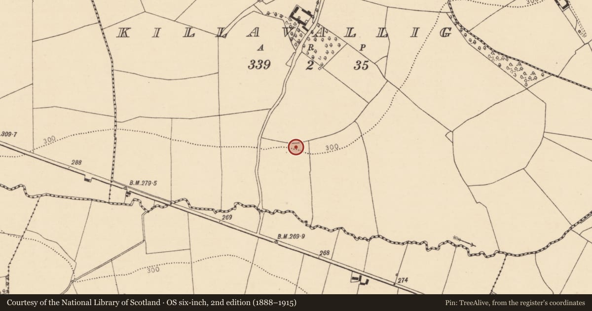 Ordnance Survey six-inch map, 2nd edition (1888–1915) covering the location of Fulacht fia, Killavallig, County Cork, with a pin at the register's coordinates