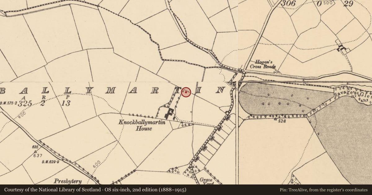 Ordnance Survey six-inch map, 2nd edition (1888–1915) covering the location of Fulacht fia, Knockballymartin, County Cork, with a pin at the register's coordinates