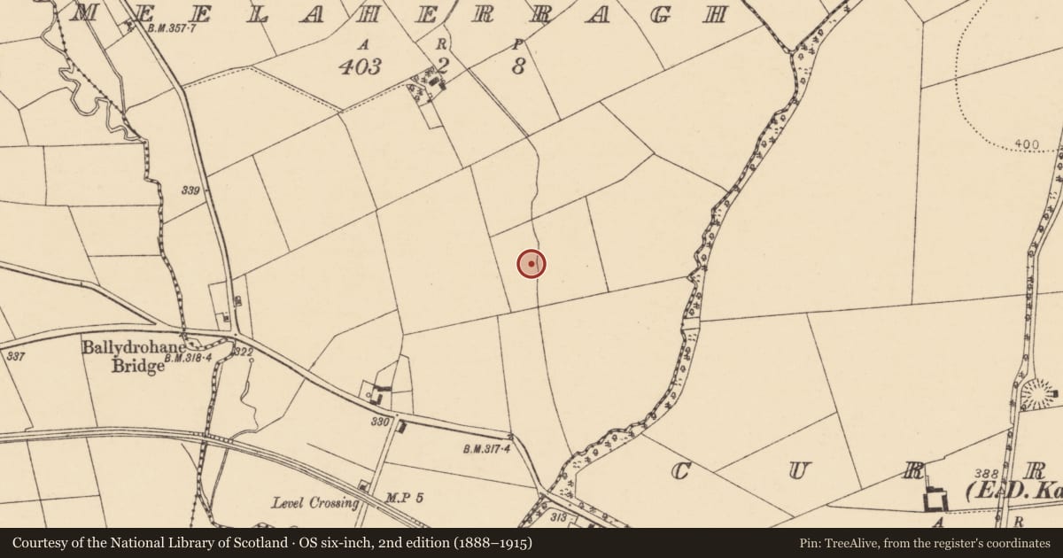 Ordnance Survey six-inch map, 2nd edition (1888–1915) covering the location of Fulacht fia, Meelaherragh, County Cork, with a pin at the register's coordinates