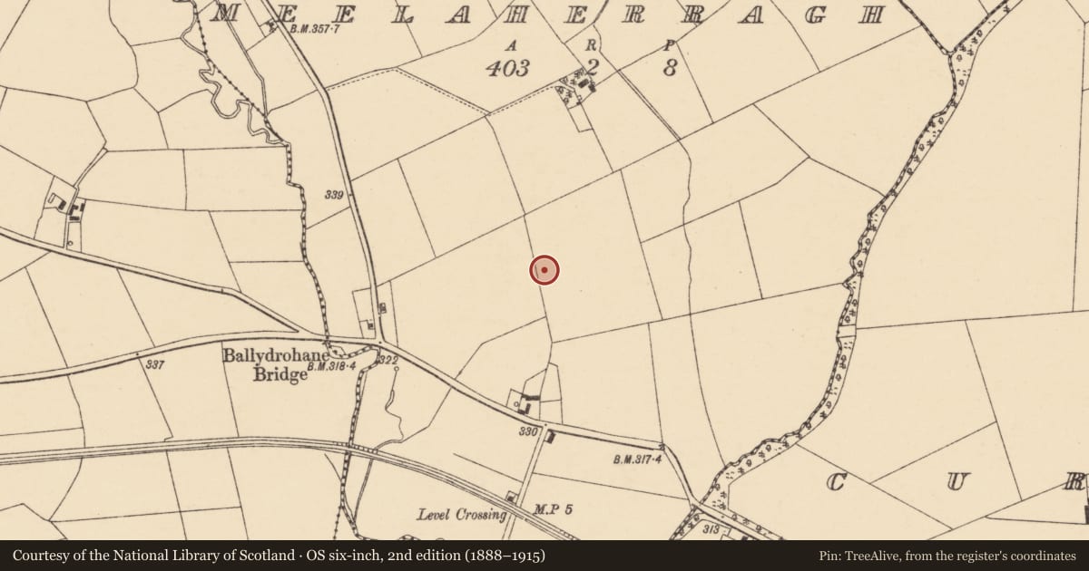 Ordnance Survey six-inch map, 2nd edition (1888–1915) covering the location of Fulacht fia, Meelaherragh, County Cork, with a pin at the register's coordinates