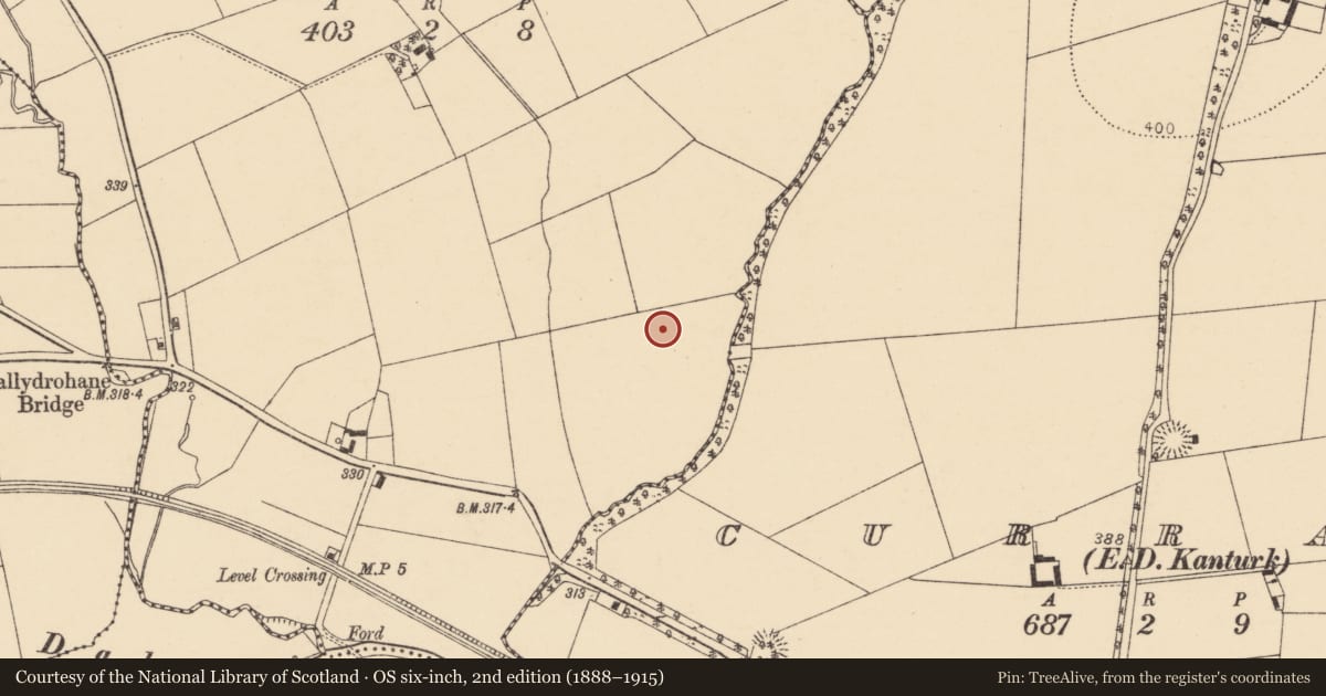 Ordnance Survey six-inch map, 2nd edition (1888–1915) covering the location of Enclosure, Meelaherragh, County Cork, with a pin at the register's coordinates