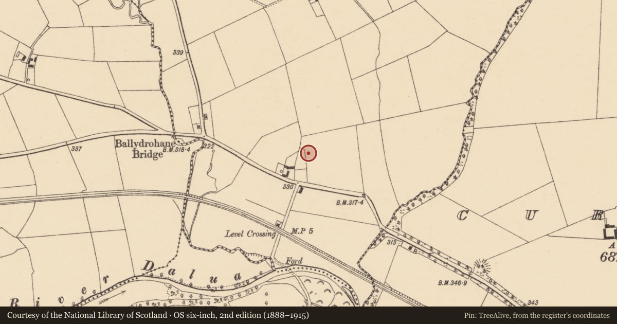 Ordnance Survey six-inch map, 2nd edition (1888–1915) covering the location of Enclosure, Meelaherragh, County Cork, with a pin at the register's coordinates