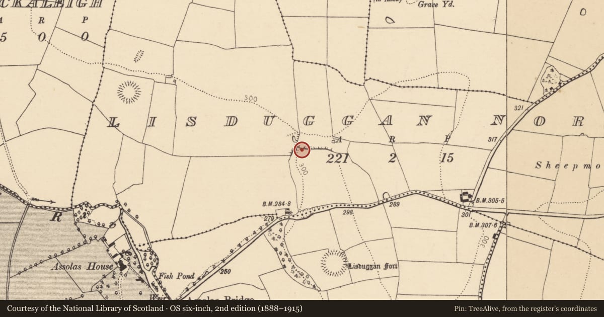 Ordnance Survey six-inch map, 2nd edition (1888–1915) covering the location of Linkardstown burial, Lisduggan North, County Cork, with a pin at the register's coordinates
