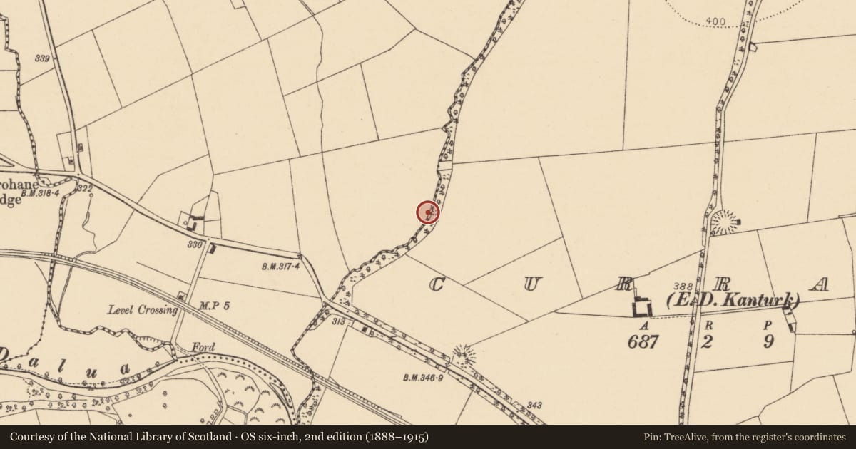 Ordnance Survey six-inch map, 2nd edition (1888–1915) covering the location of Barrow - ring-barrow, Meelaherragh, County Cork, with a pin at the register's coordinates