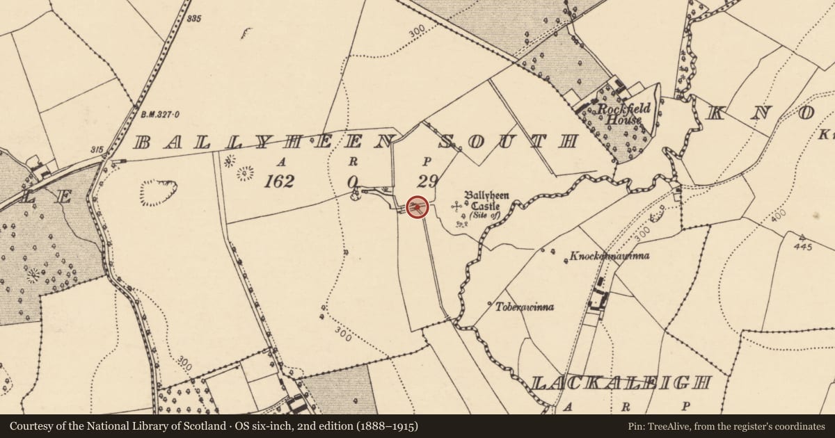 Ordnance Survey six-inch map, 2nd edition (1888–1915) covering the location of Road - road/trackway, Ballyheen South, County Cork, with a pin at the register's coordinates