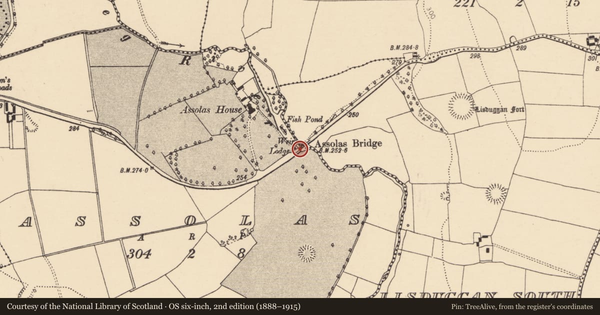 Ordnance Survey six-inch map, 2nd edition (1888–1915) covering the location of Bridge, Assolas, Lisduggan South, County Cork, with a pin at the register's coordinates