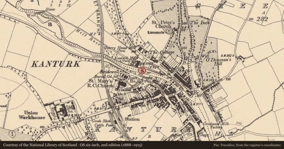 Ordnance Survey six-inch map, 2nd edition (1888–1915) covering the location of Bridge, County Cork, with a pin at the register's coordinates