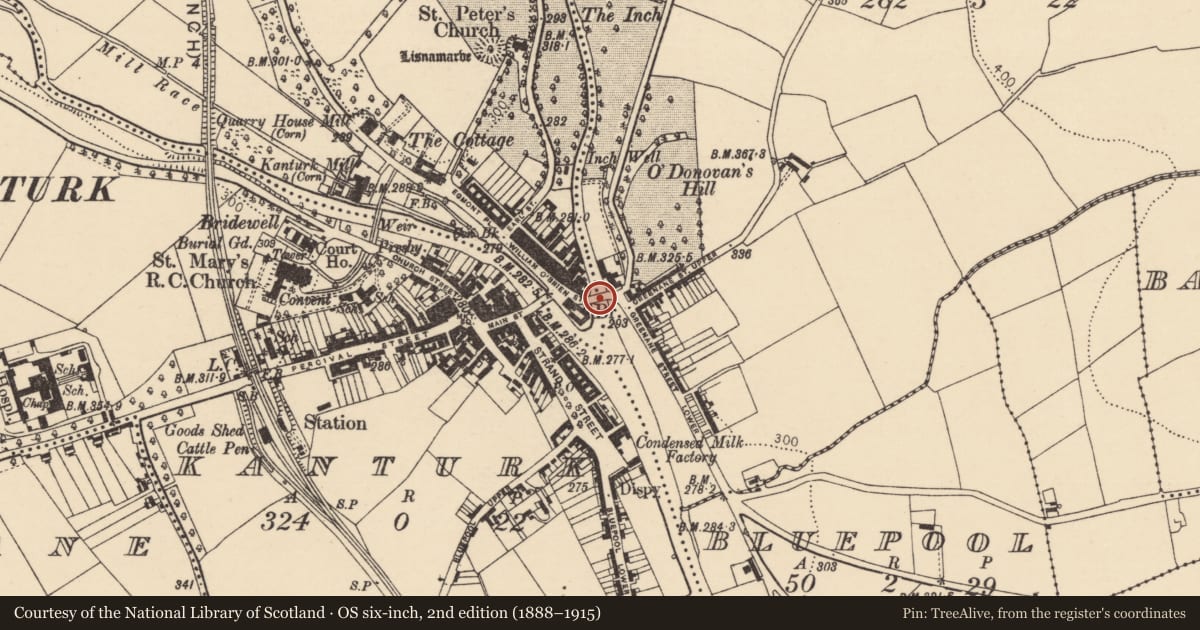 Ordnance Survey six-inch map, 2nd edition (1888–1915) covering the location of Bridge, County Cork, with a pin at the register's coordinates