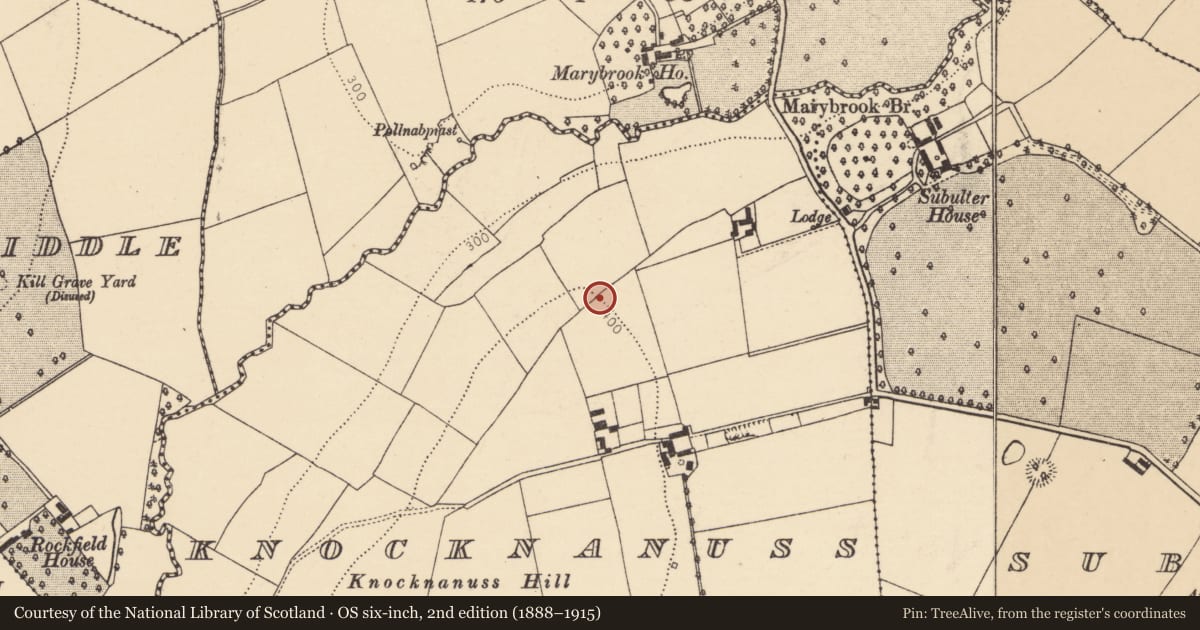 Ordnance Survey six-inch map, 2nd edition (1888–1915) covering the location of Ringfort - rath, Knocknanuss, County Cork, with a pin at the register's coordinates