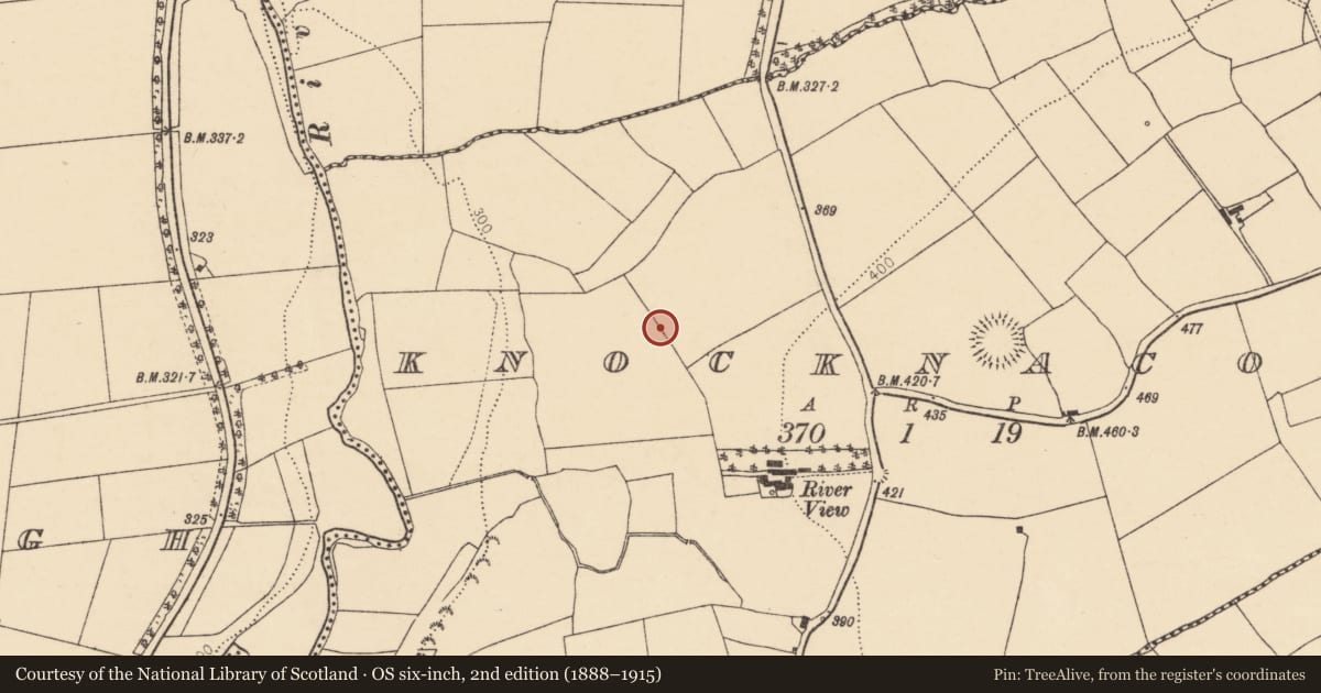Ordnance Survey six-inch map, 2nd edition (1888–1915) covering the location of Enclosure, Knocknacolan, County Cork, with a pin at the register's coordinates