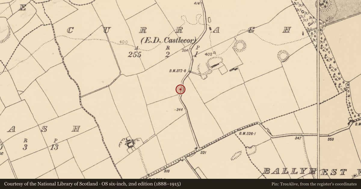 Ordnance Survey six-inch map, 2nd edition (1888–1915) covering the location of Ringfort - rath, Curragh (Duhallow By., Kilbrin Par.), County Cork, with a pin at the register's coordinates