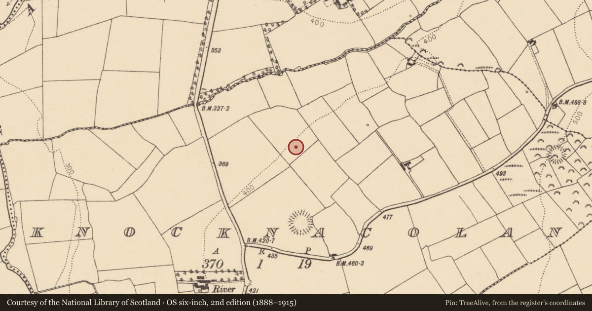 Ordnance Survey six-inch map, 2nd edition (1888–1915) covering the location of Enclosure, Knocknacolan, County Cork, with a pin at the register's coordinates