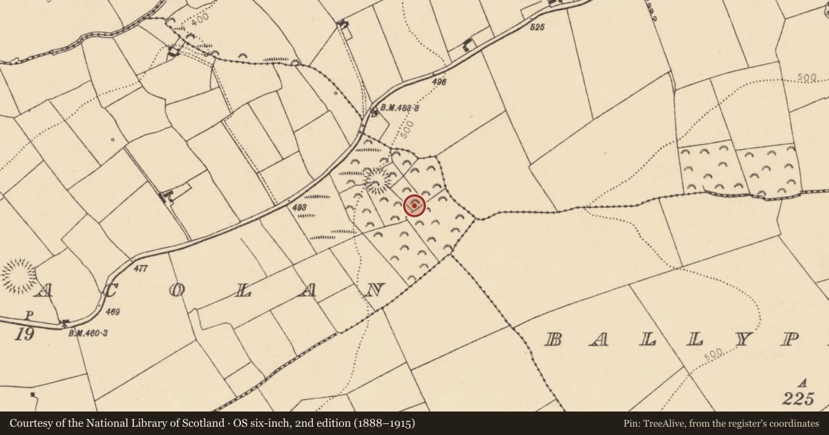 Ordnance Survey six-inch map, 2nd edition (1888–1915) covering the location of Ringfort - rath, Knocknacolan, County Cork, with a pin at the register's coordinates