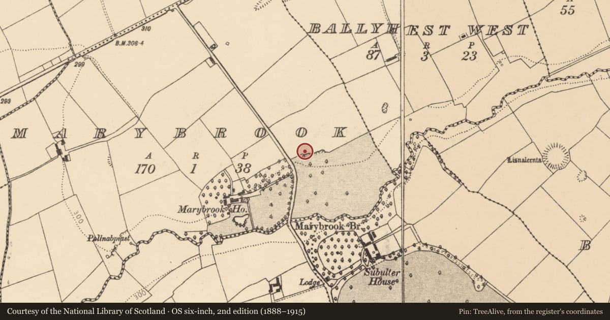 Ordnance Survey six-inch map, 2nd edition (1888–1915) covering the location of Cliff-edge fort, Marybrook, County Cork, with a pin at the register's coordinates