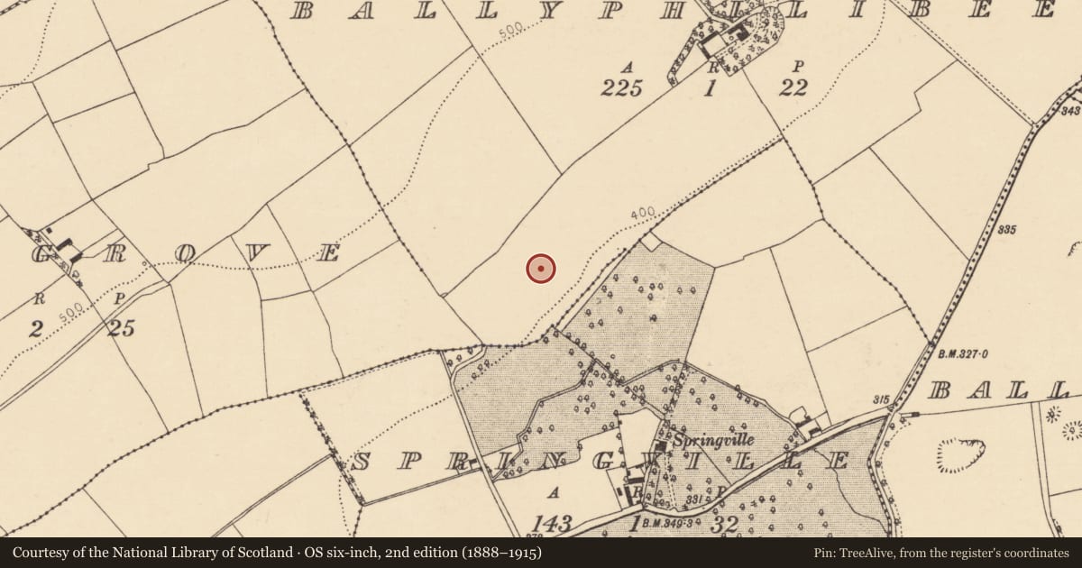 Ordnance Survey six-inch map, 2nd edition (1888–1915) covering the location of Enclosure, Ballyphilibeen, County Cork, with a pin at the register's coordinates