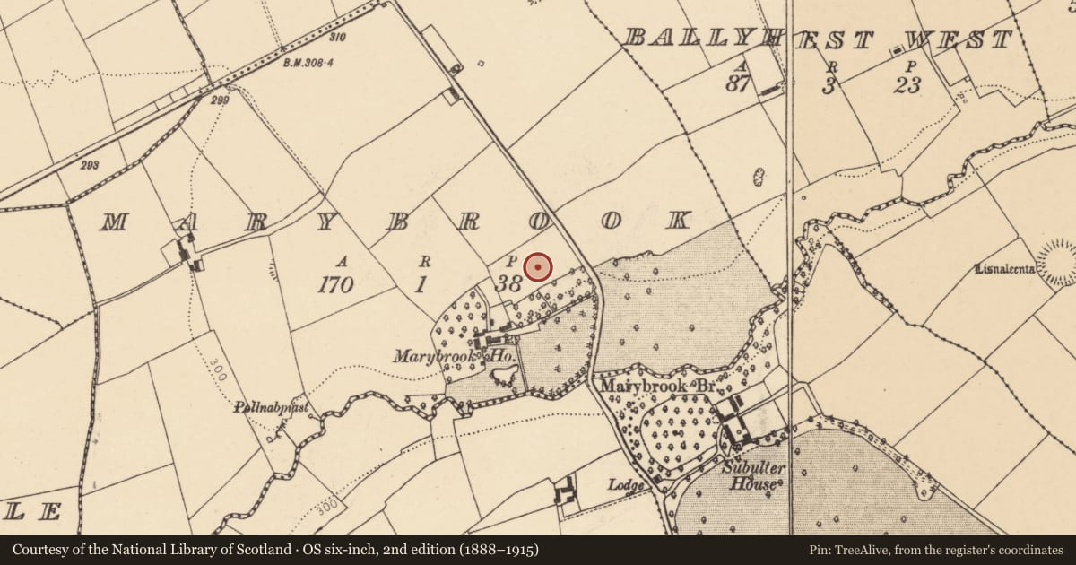Ordnance Survey six-inch map, 2nd edition (1888–1915) covering the location of Burial ground, Marybrook, County Cork, with a pin at the register's coordinates