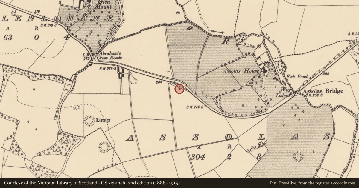 Ordnance Survey six-inch map, 2nd edition (1888–1915) covering the location of Burial ground, Assolas, County Cork, with a pin at the register's coordinates