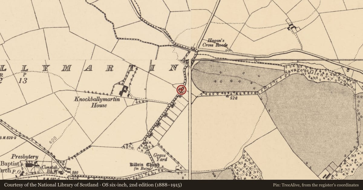 Ordnance Survey six-inch map, 2nd edition (1888–1915) covering the location of Church, Knockballymartin, County Cork, with a pin at the register's coordinates