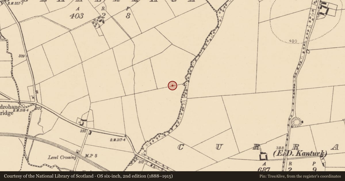 Ordnance Survey six-inch map, 2nd edition (1888–1915) covering the location of Enclosure, Meelaherragh, County Cork, with a pin at the register's coordinates