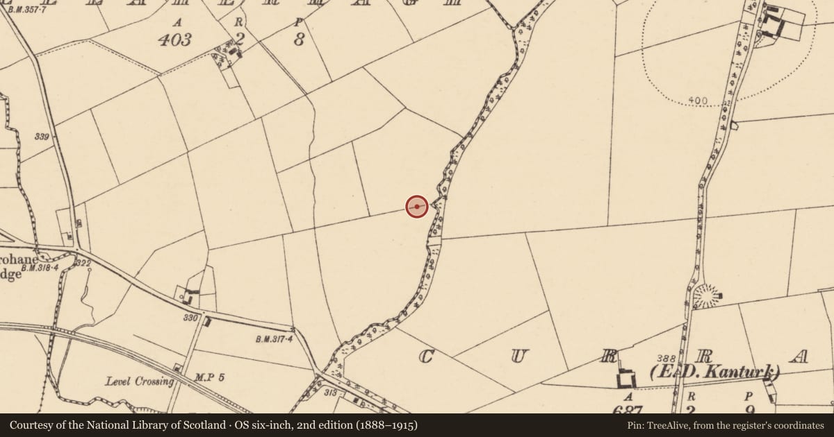 Ordnance Survey six-inch map, 2nd edition (1888–1915) covering the location of Enclosure, Meelaherragh, County Cork, with a pin at the register's coordinates