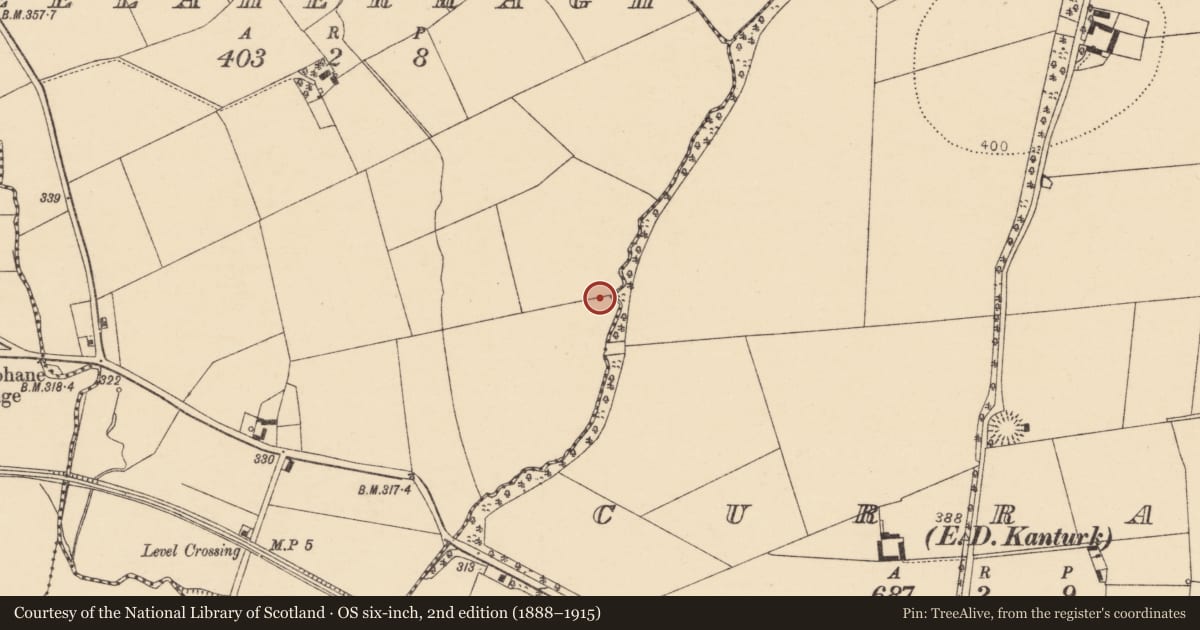 Ordnance Survey six-inch map, 2nd edition (1888–1915) covering the location of Enclosure, Meelaherragh, County Cork, with a pin at the register's coordinates