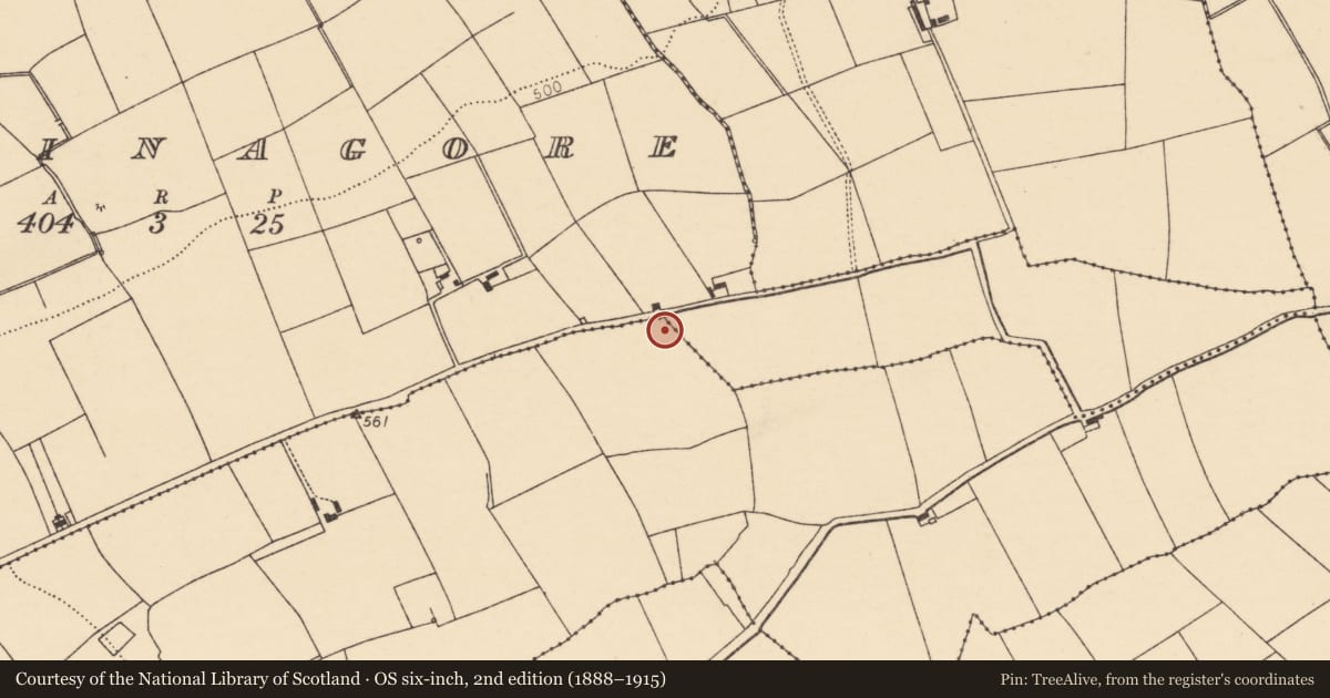 Ordnance Survey six-inch map, 2nd edition (1888–1915) covering the location of Enclosure, Clonrobin, County Cork, with a pin at the register's coordinates