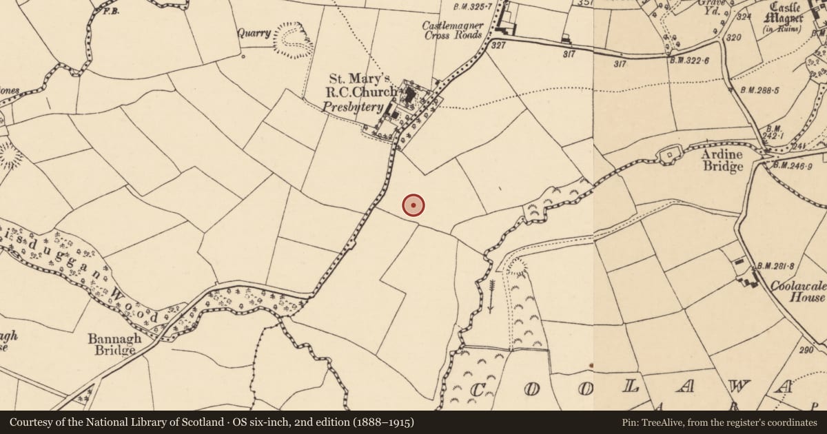 Ordnance Survey six-inch map, 2nd edition (1888–1915) covering the location of Ringfort - rath, Castlemagner, County Cork, with a pin at the register's coordinates