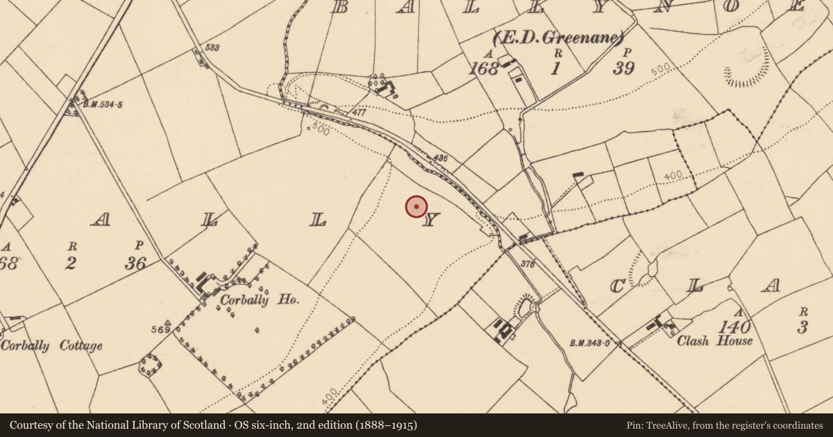Ordnance Survey six-inch map, 2nd edition (1888–1915) covering the location of Enclosure, Corbally, County Cork, with a pin at the register's coordinates