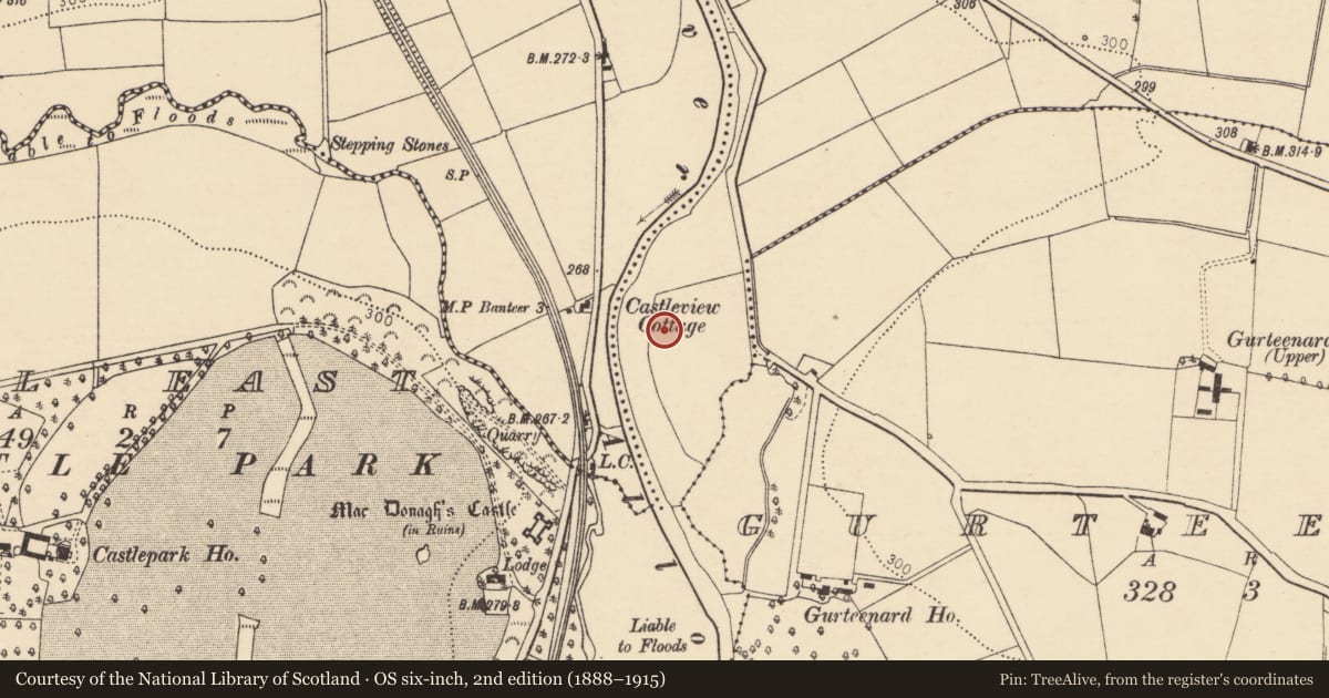 Ordnance Survey six-inch map, 2nd edition (1888–1915) covering the location of Water mill - horizontal-wheeled, Pulleen, County Cork, with a pin at the register's coordinates