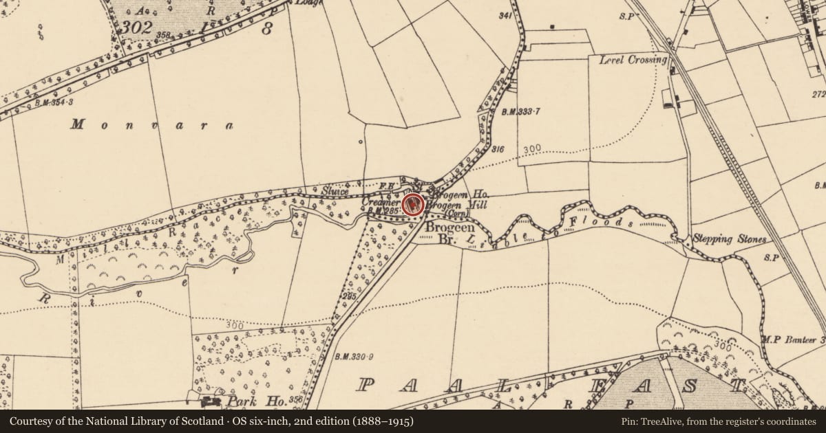 Ordnance Survey six-inch map, 2nd edition (1888–1915) covering the location of Mill - corn, Coolacoosane, County Cork, with a pin at the register's coordinates