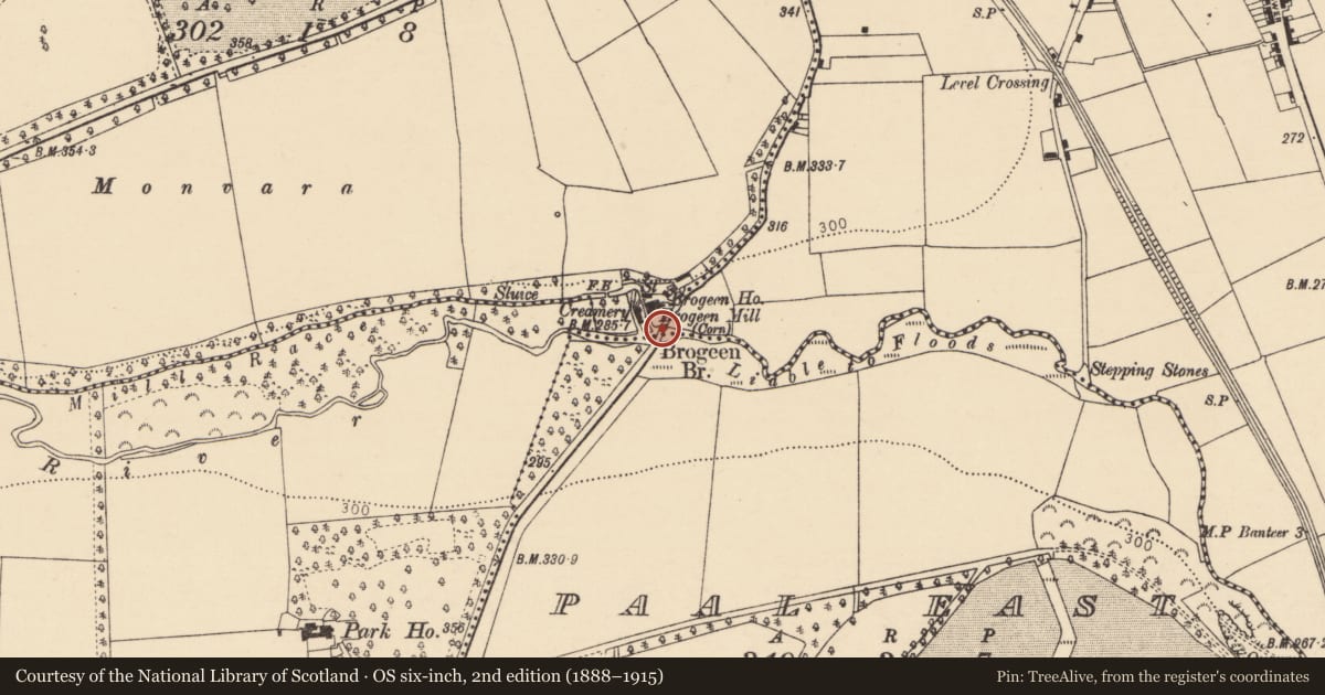 Ordnance Survey six-inch map, 2nd edition (1888–1915) covering the location of Bridge, Coolacoosane, Paal East, County Cork, with a pin at the register's coordinates