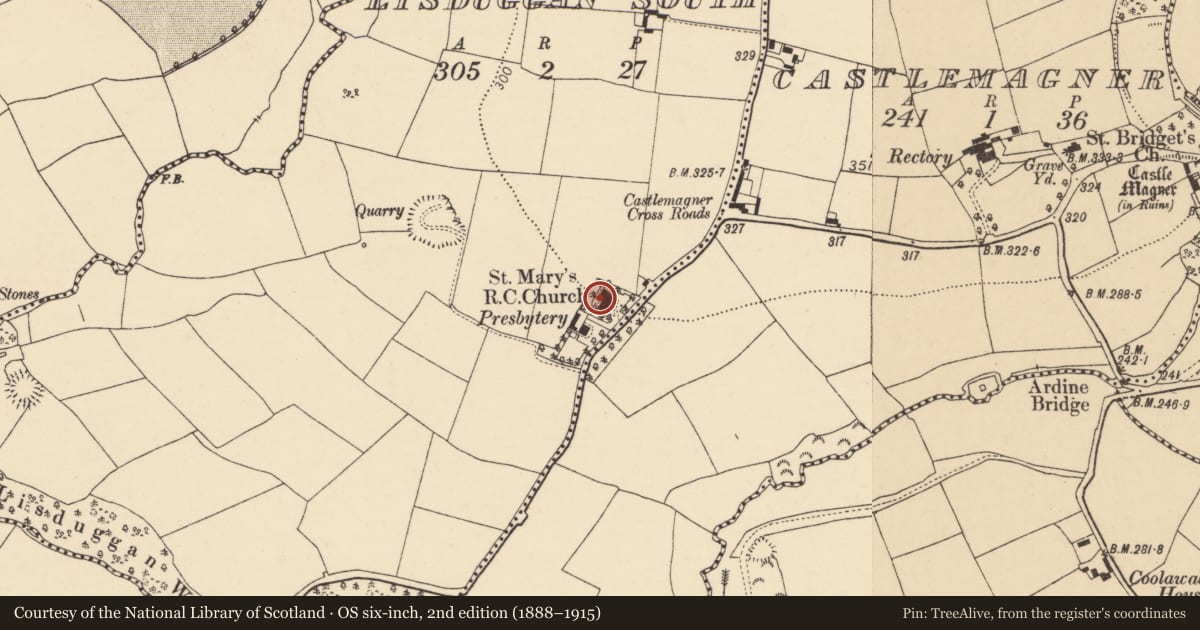 Ordnance Survey six-inch map, 2nd edition (1888–1915) covering the location of Church, Lisduggan South, County Cork, with a pin at the register's coordinates