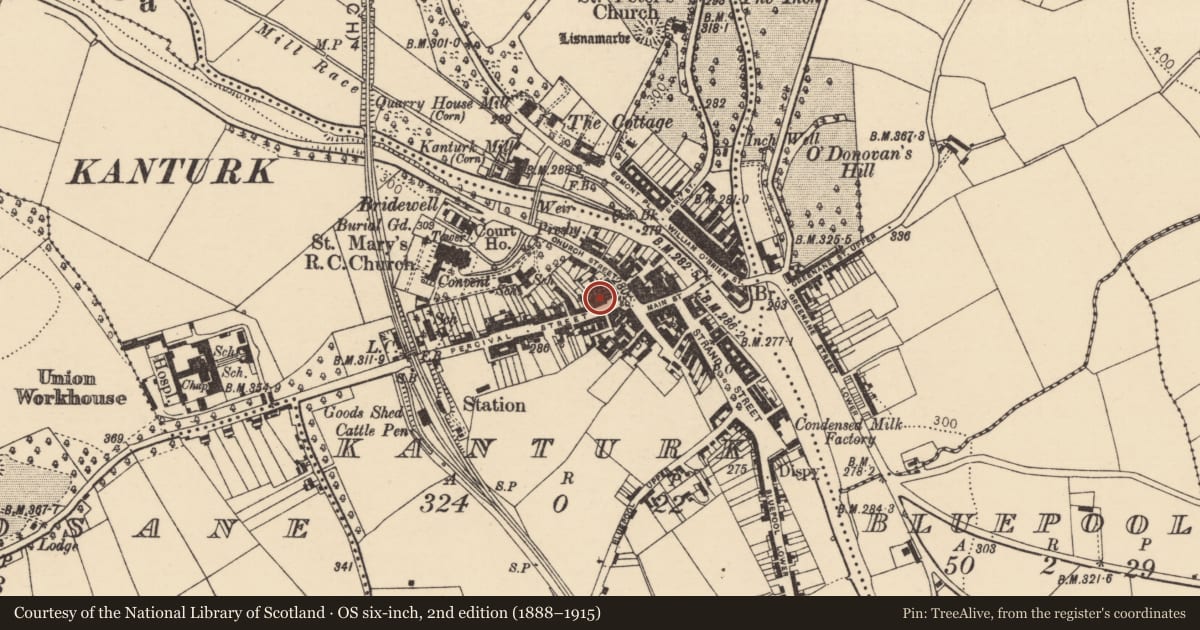 Ordnance Survey six-inch map, 2nd edition (1888–1915) covering the location of Market-house, Kanturk, County Cork, with a pin at the register's coordinates