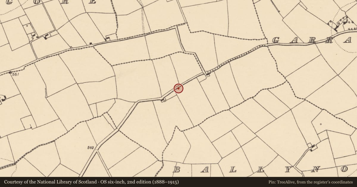 Ordnance Survey six-inch map, 2nd edition (1888–1915) covering the location of Enclosure, Clonrobin, County Cork, with a pin at the register's coordinates